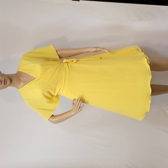 Maggy London Side Pleated Bodice Overlap Dress - Picture 6 of 17